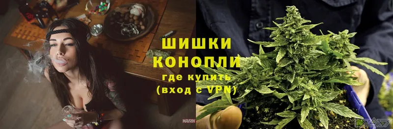 Бошки марихуана Ganja  где найти   Вичуга 